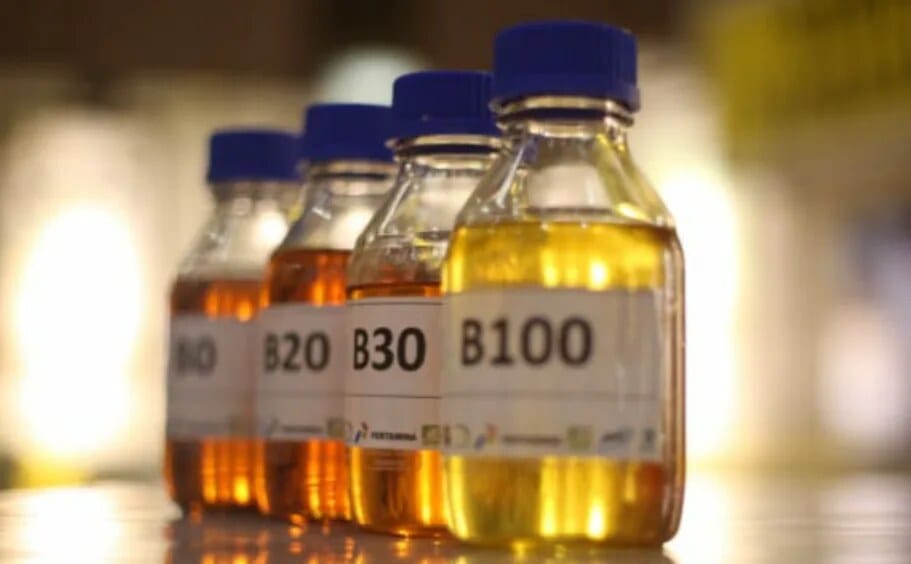 Proses pengolahan sawit menjadi bahan bakar biodiesel